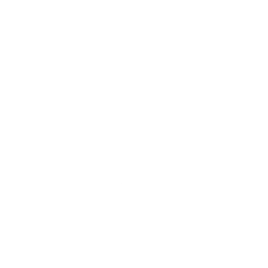 VAI Logo